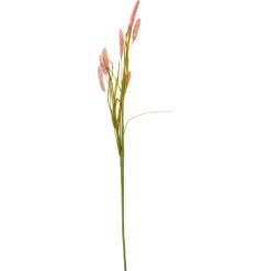 BRISTLEGRASS STILK | ROSE