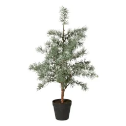 CEDERTRÆ M/POTTE 60 CM