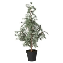 CEDERTRÆ M/POTTE 120 CM