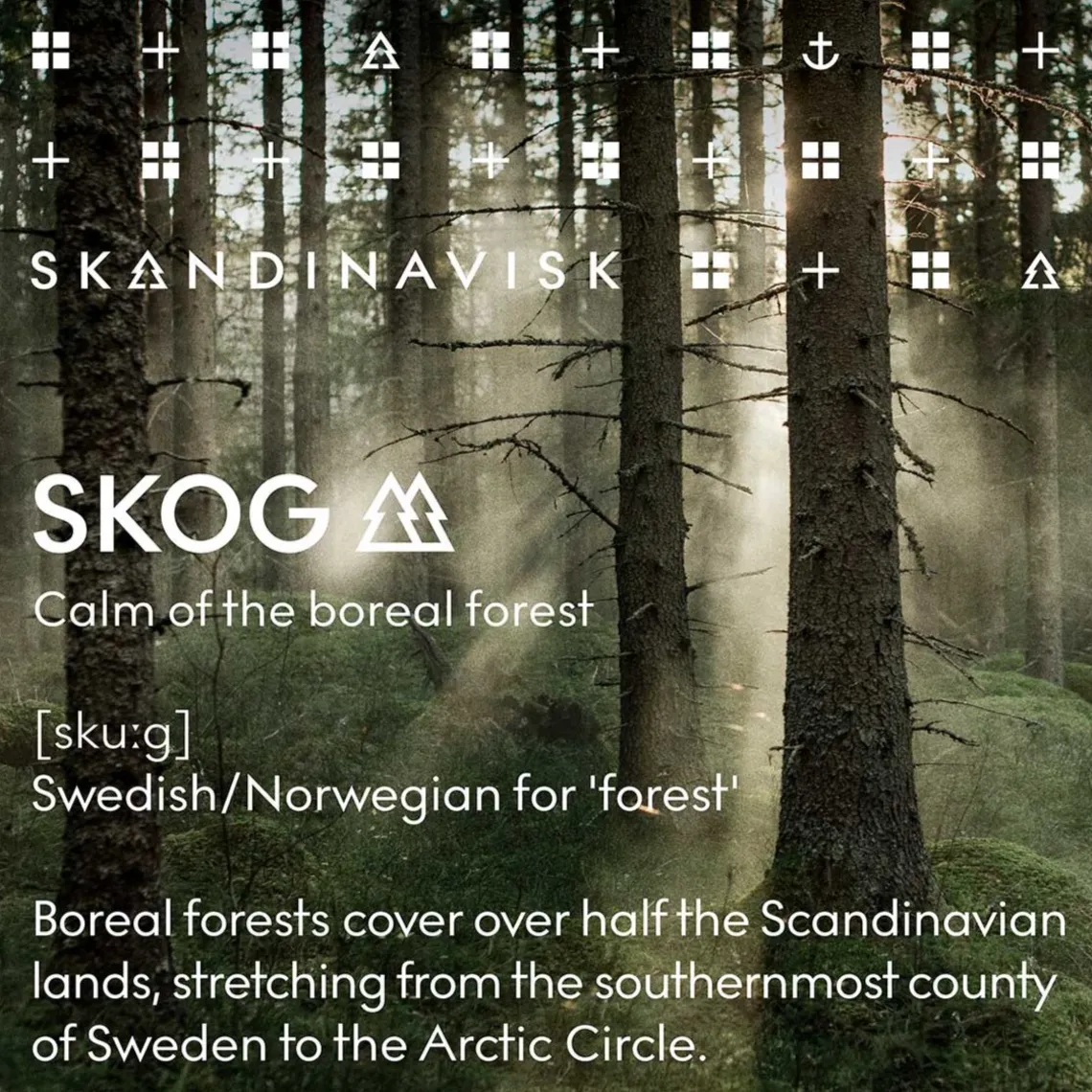 DUFTDIFFUSER REFILL 200 ML | SKOG