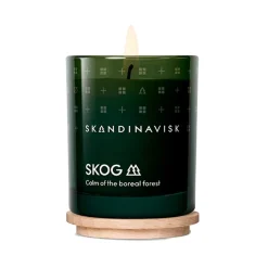 DUFTLYS NEW 65G | SKOG