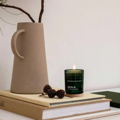 DUFTLYS NEW 65G | SKOG