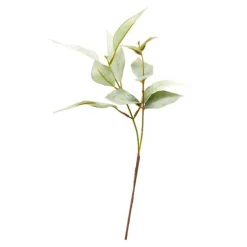 EUKALYPTUS STILK 38 CM