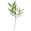 EUKALYPTUS STILK | GREEN