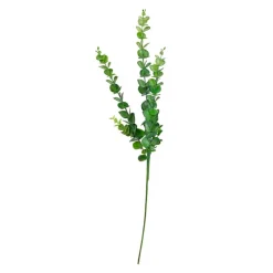 EUKALYPTUS STILK | GREEN
