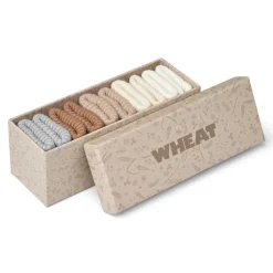 EVIG GAVEÆSKE M/5 PAR SOKKER | BLÅ