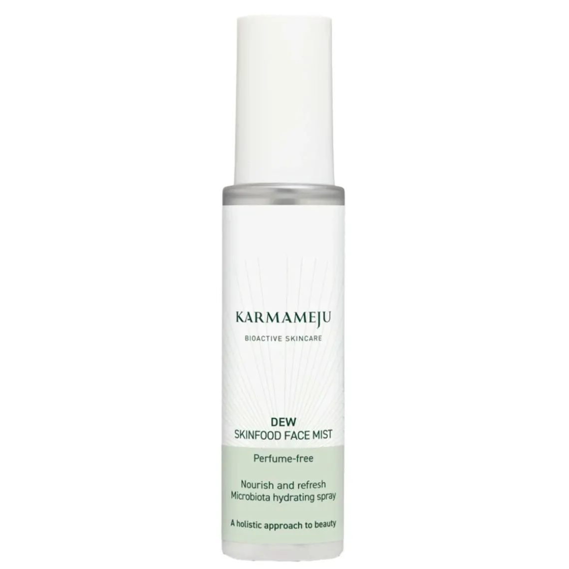 FACE MIST 100 ML | DEW