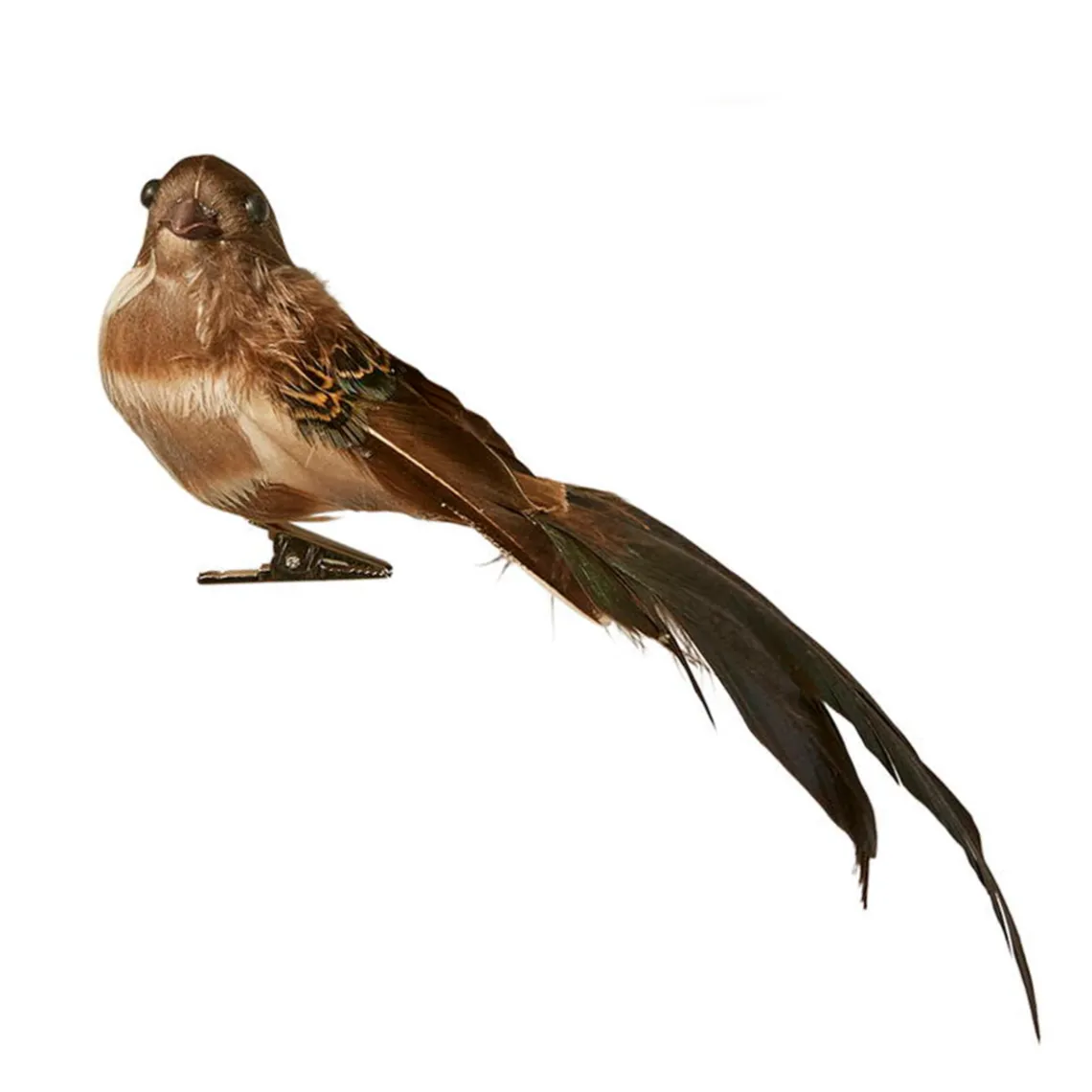 FUGL M/CLIPS 20 CM | GRØN HALE