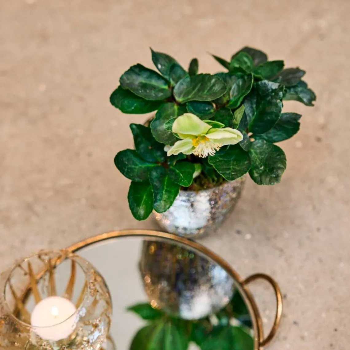 FYRFADSSTAGE I GLAS D10XH13 CM - KLAR M/GRØN