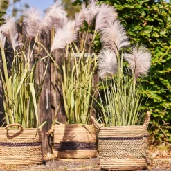 GRÆS M/5 HOVEDER 115 CM - GRØN