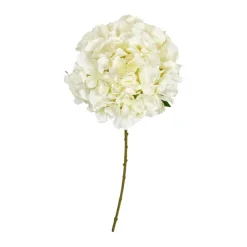 HORTENSIA STILK | HVID