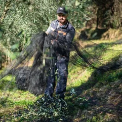 IL PRIMO - EKSTRAORDINÆR EKSTRA JOMFRUOLIE 500 ML