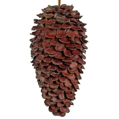 KOGLE AF KASTANJESKAL 31CM