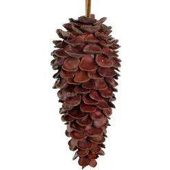 KOGLE AF KASTANJESKAL 25CM