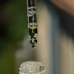 LIGHT ANSIGTSOLIE - 30 ML