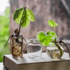 LILLE GLASVASE CA. 6 CM | RUND