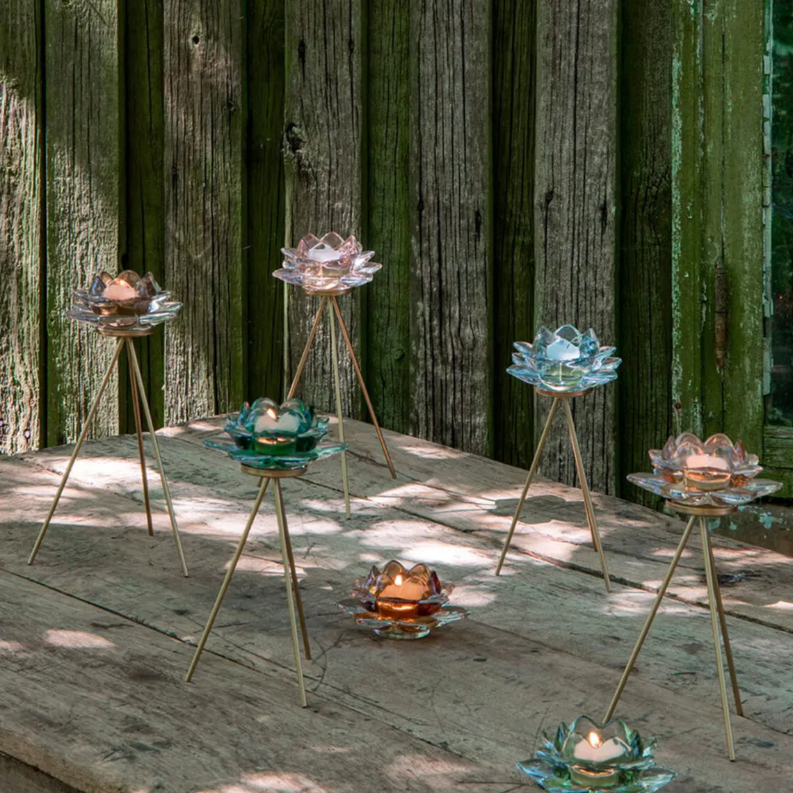 LOTUS FYRFADSSTAGE 12X6 CM - GRØN