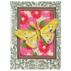 LYKØNSKNINGSKORT 13X9 CM | INDIAN BUTTERFLY