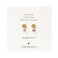 MINI COIN LABRADORITE EARRINGS