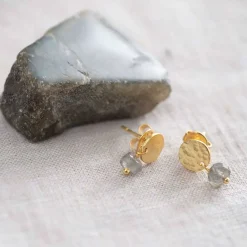 MINI COIN LABRADORITE EARRINGS
