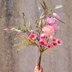 NELLIKE STILK | ROSE