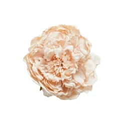 PEONHOVED 15 CM | LIGHT ROSA