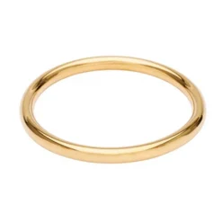RAY BANGLE 6 MM | FORGYLDT