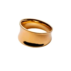 REFLECTION RING | FORGYLDT