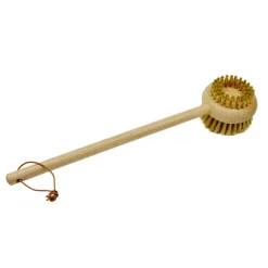 RYGBØRSTE I BEECHWOOD