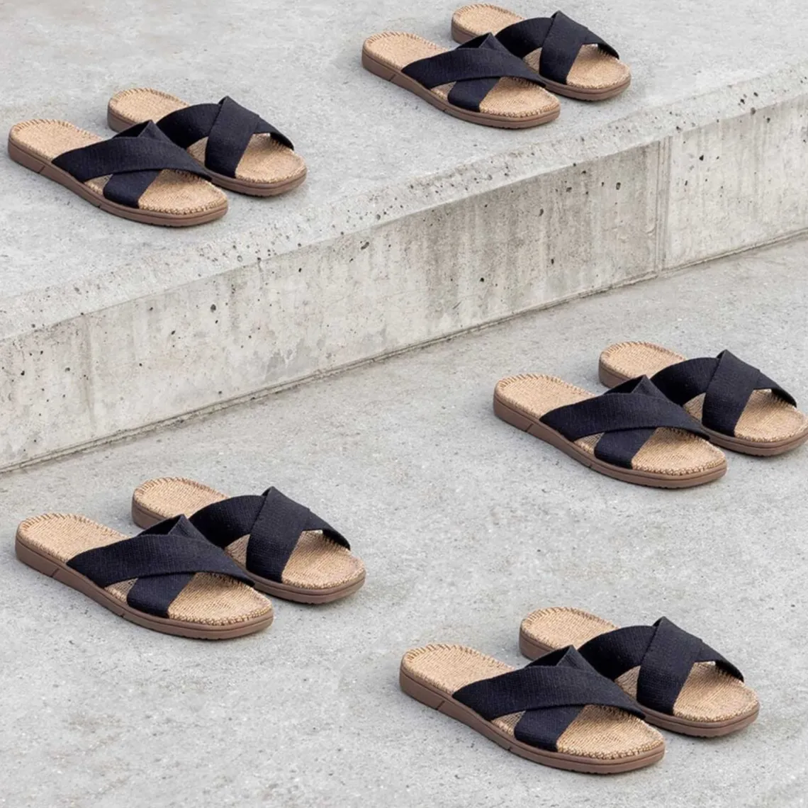 SHANGIES UNISEX | ROCKY RAVEN