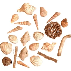 SKALLER I POSE - GRÅ