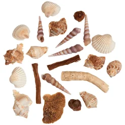 SKALLER I POSE - NATUR