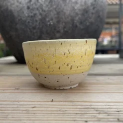 SKÅL NO. 2 | HØRGUL