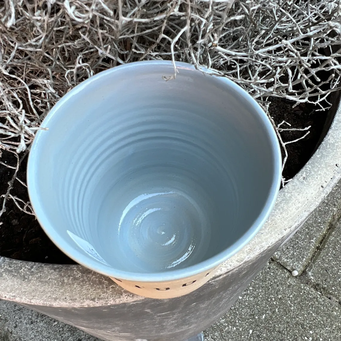 STUDENT | BLÅ FIRKLØVER