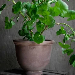 TERRACOTTA KRUKKE 21X18 CM