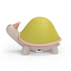 VÅGELAMPE - SKILDPADDE